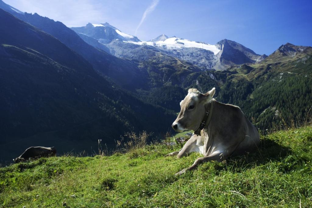 Brixnerhof Im Zillertal Hotel Schlitters Luaran gambar